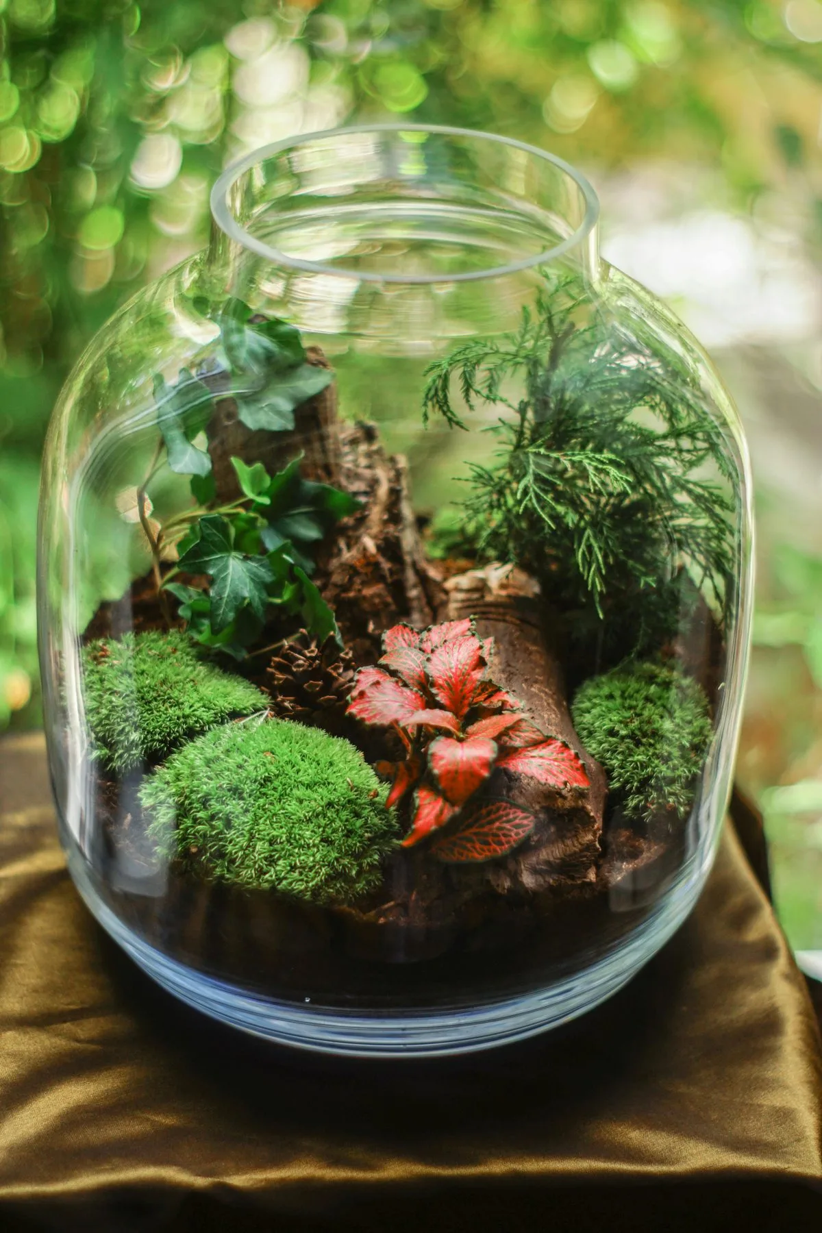 Guía completa de plantas de interior y exterior