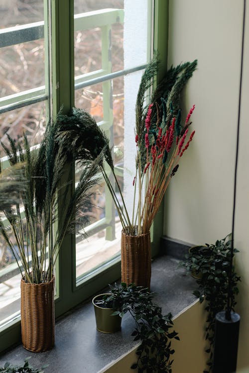 Aromatic herbs in terracotta pots on a sunny kitchen windowsill