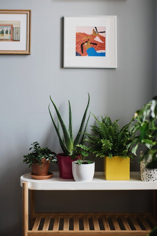 Fiberglass planters with concrete finish on a modern patio with palm trees