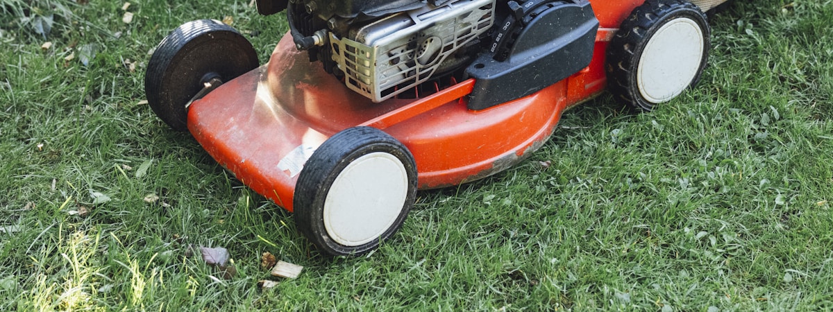 Comparativa cortadoras de césped de batería Worx y EGO en jardín